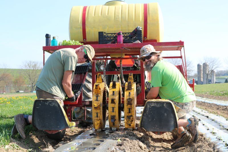 A-veteran-farmers-4.jpg